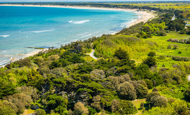 Baleines Ré