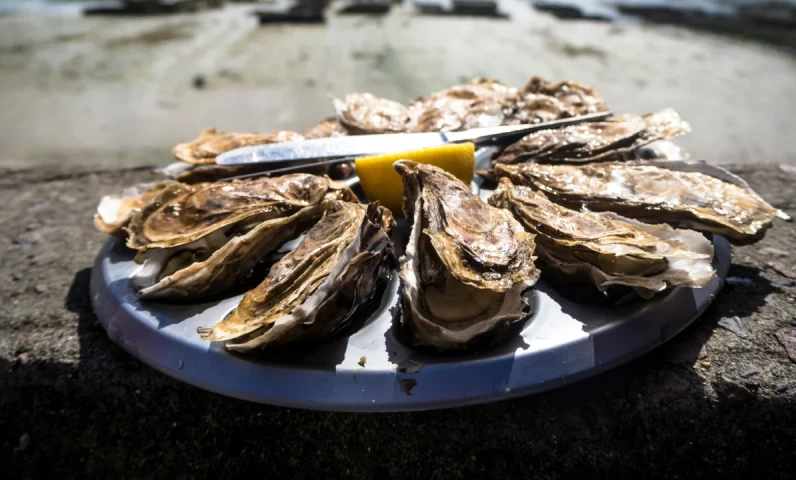 Gastronomy in Île de Ré