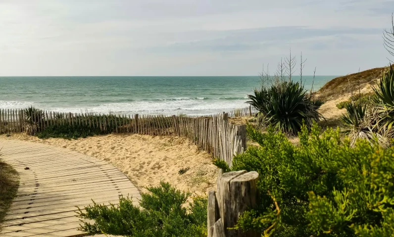 Île de Ré nature