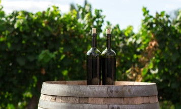 Wine Île de Ré