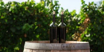 Wine Île de Ré