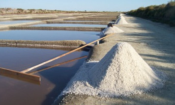Salt of Île de Ré