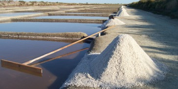 Salt of Île de Ré