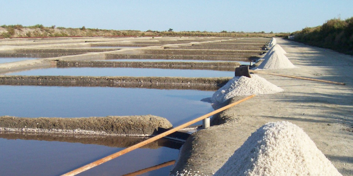Salt Île de Ré