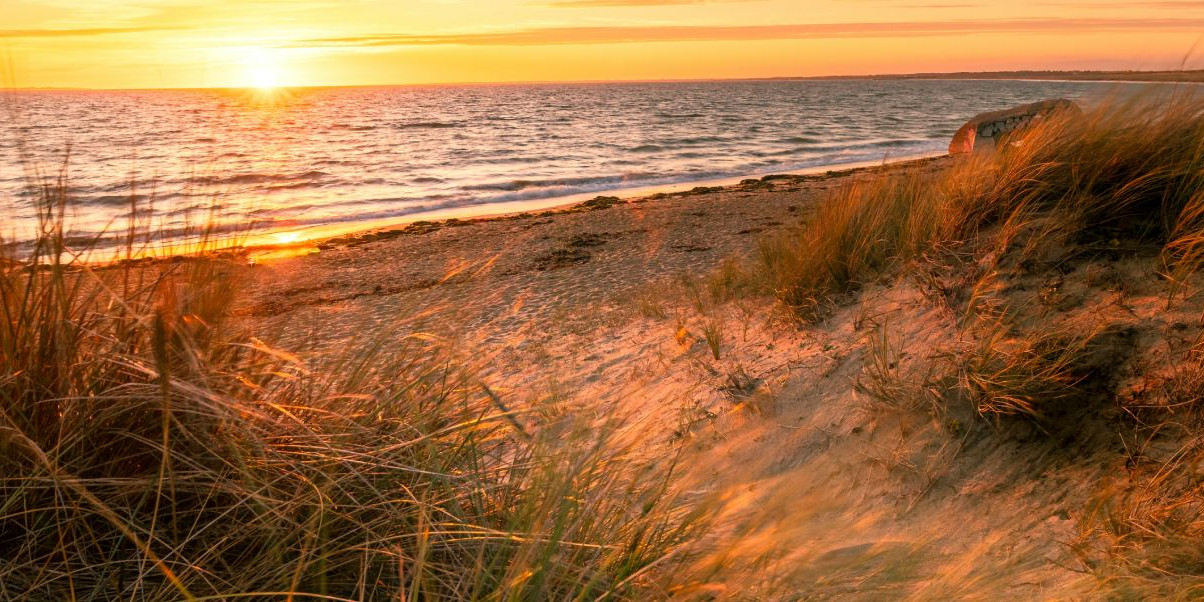 Beaches Charente-Maritime