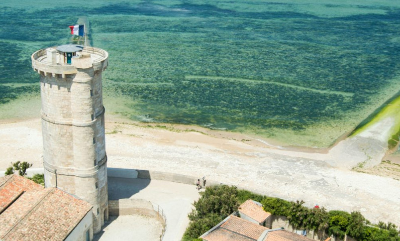 Phare des Baleines Lighthouse