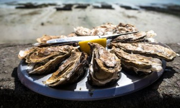 Oyster Île de Ré