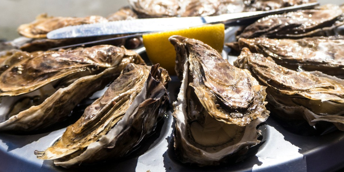 Oyster Île de Ré