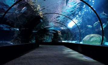 La Rochelle Aquarium