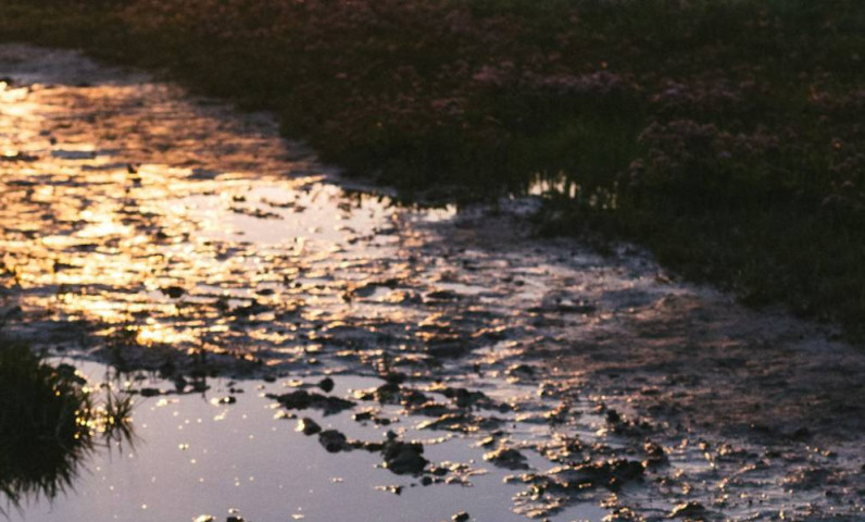 Visitez les marais salants de l'île de Ré