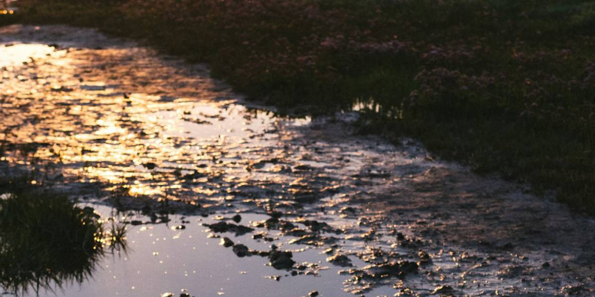 Visitez les marais salants de l'île de Ré