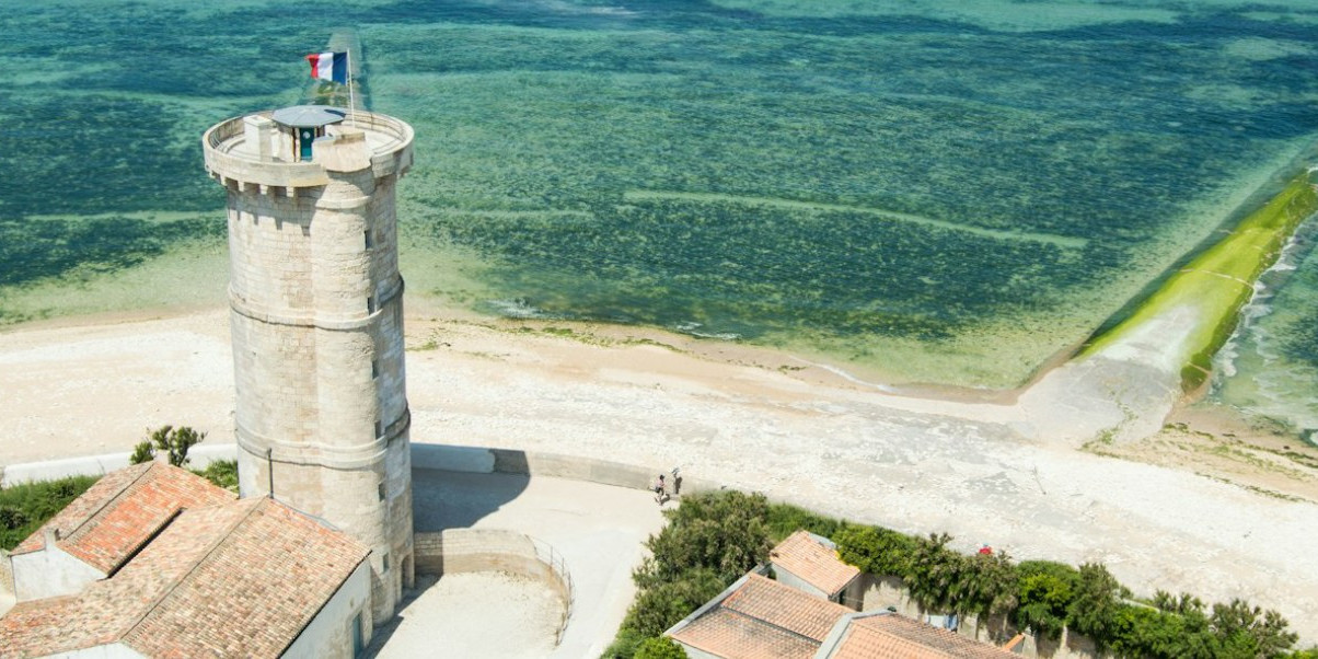 Découvrez Saint-Clément-des-Baleines
