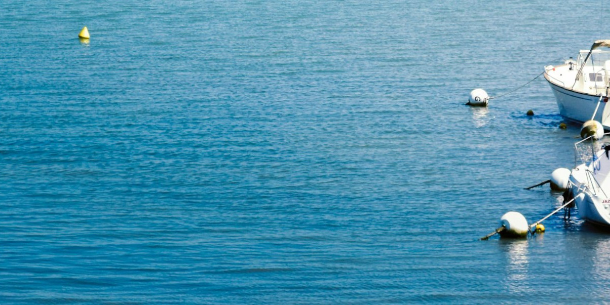 5 km de La Flotte-en-Ré