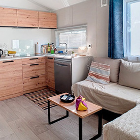 Mobil home neuf Grenettes 3ch salon