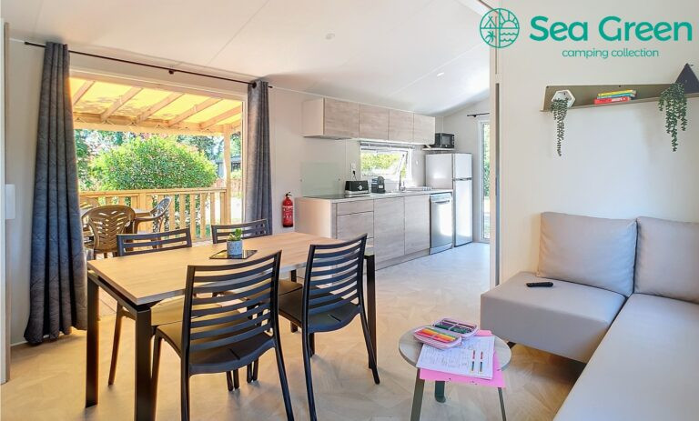 Mobil home neuf Grenettes salon terrasse