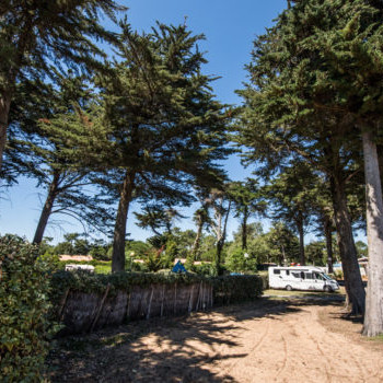 Camping Les Grenettes op Île de Ré