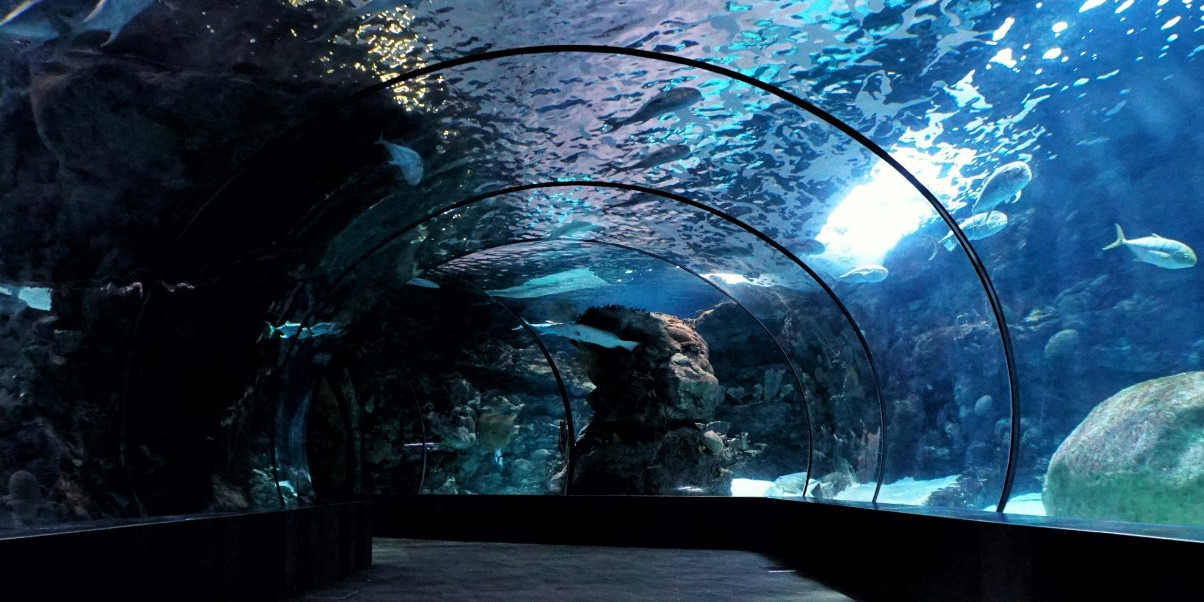 Aquarium La Rochelle